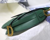 Dior Saddle7