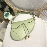 Dior Saddle3