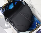 Dior Saddle13