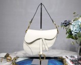Dior Saddle22