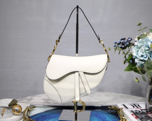 Dior Saddle22