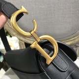 Dior Saddle1