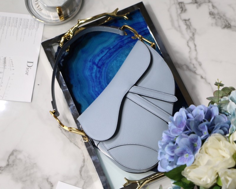 Dior Saddle9