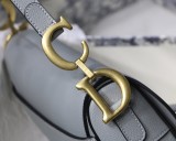 Dior Saddle20
