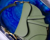 Dior Saddle26
