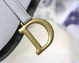 Dior Saddle20