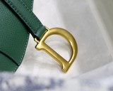 Dior Saddle7