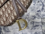 Dior Saddle31