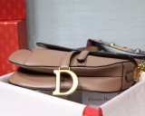 Dior Saddle28