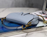Dior Saddle27