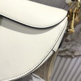 Dior Saddle2