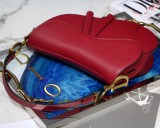 Dior Saddle10
