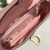 Dior Saddle5