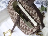 Dior Saddle31