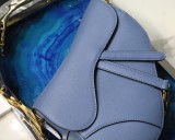 Dior Saddle21