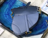 Dior Saddle6
