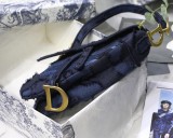 Dior Saddle29