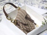 Dior Saddle31