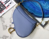 Dior Saddle21