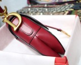 Dior Saddle12