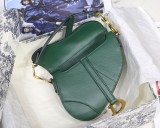 Dior Saddle7