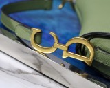 Dior Saddle26