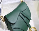 Dior Saddle7
