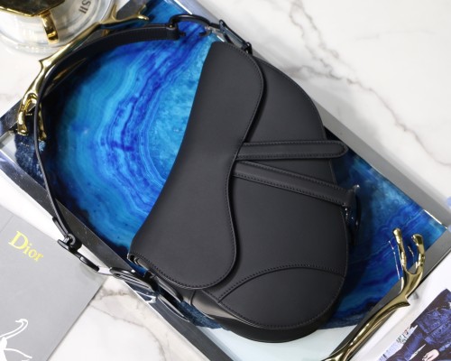 Dior Saddle13