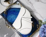 Dior Saddle22