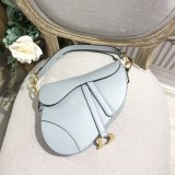 Dior Saddle4