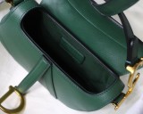 Dior Saddle7