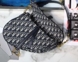 Dior Saddle30