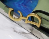 Dior Saddle11