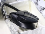 Dior Saddle15