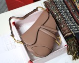 Dior Saddle28