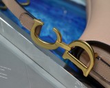 Dior Saddle17