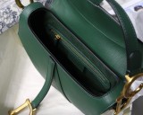Dior Saddle23
