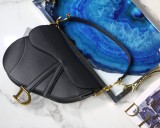 Dior Saddle8