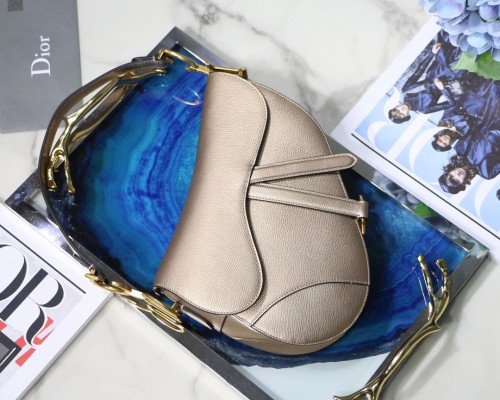Dior Saddle18