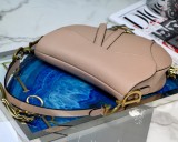 Dior Saddle17