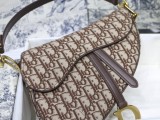 Dior Saddle31