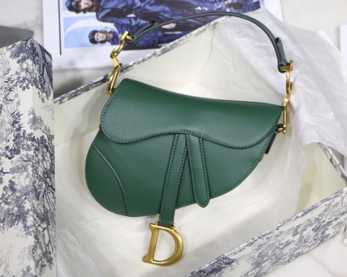 Dior Saddle7