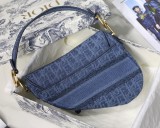 Dior Saddle16