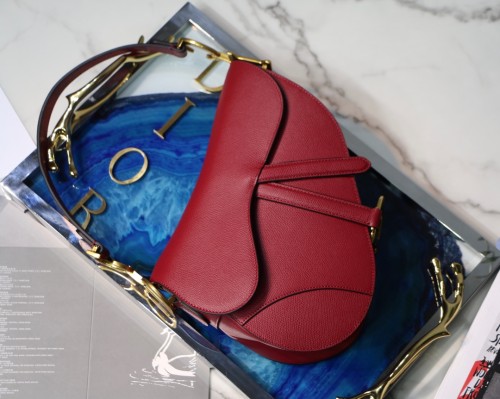 Dior Saddle10
