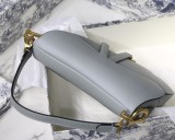 Dior Saddle20