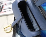 Dior Saddle6