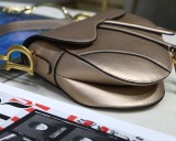 Dior Saddle18
