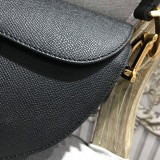 Dior Saddle1