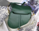 Dior Saddle23