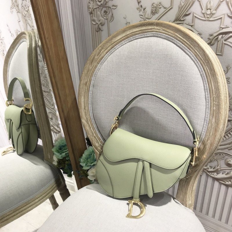 Dior Saddle3